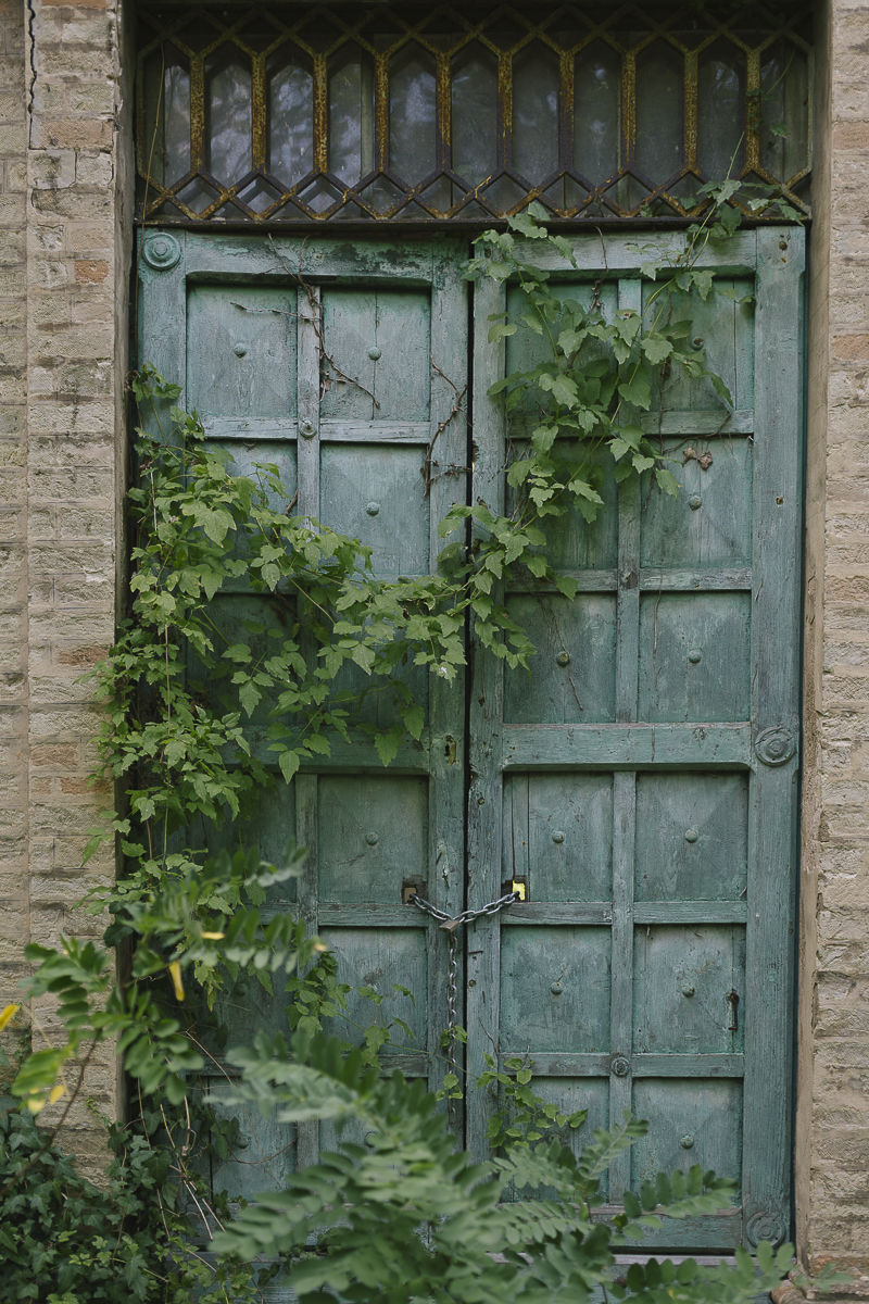 Poi dimentico che c’è un muro